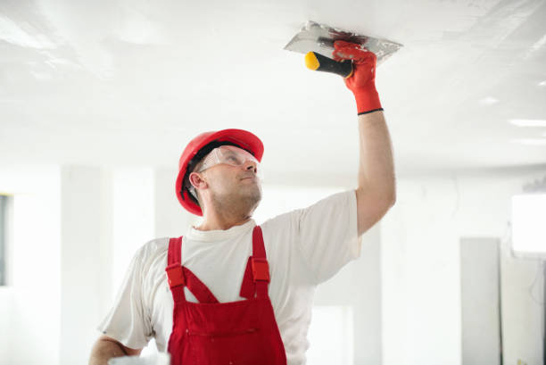 Best Water-Damaged Drywall Repair  in Watergate, FL